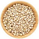 வெள்ளைசோளம்