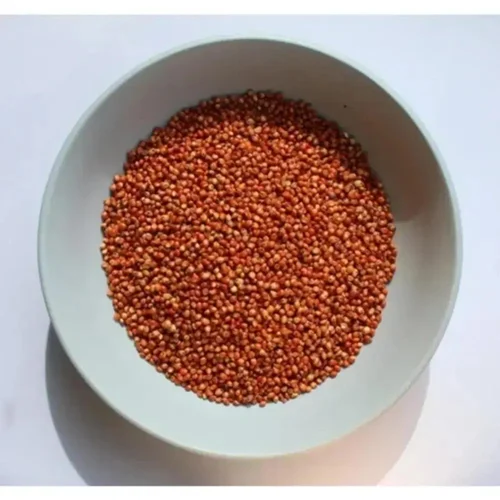 சிகப்பு சோளம்